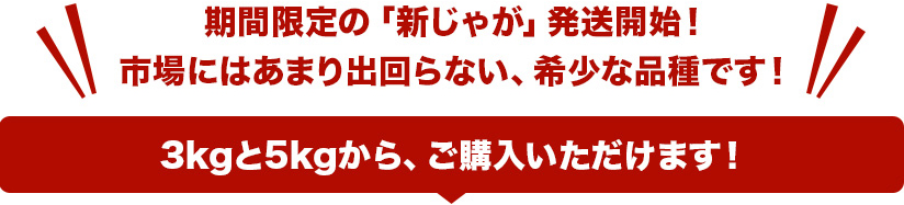 期間限定の「新じゃが」発送開始！市場にはあまり出回らない、希少な品種です！3kgと5kgからご購入いただけます！