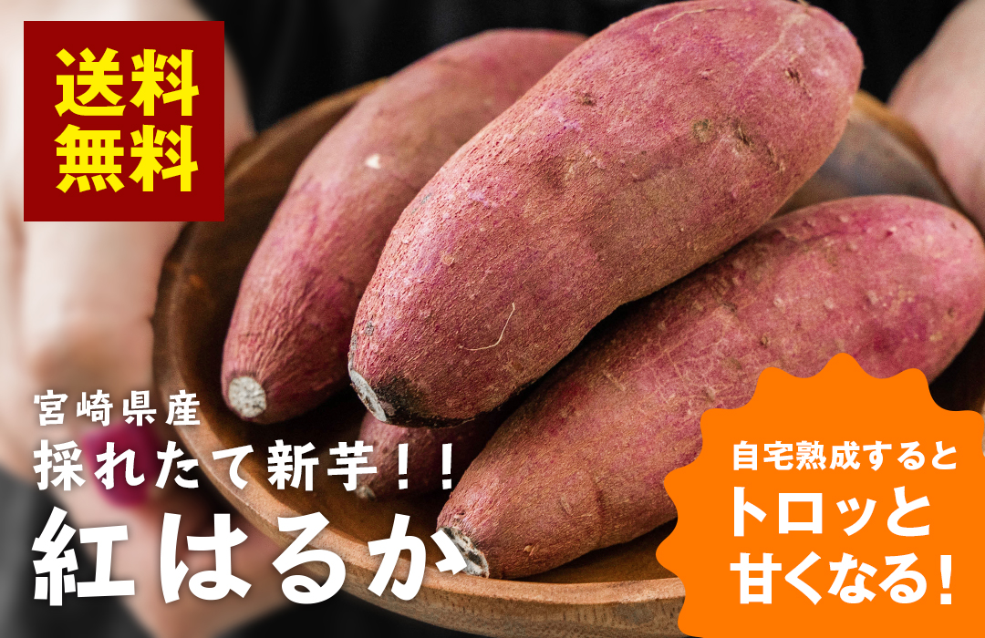 【熟成前】新芋 ご家庭用 宮崎県産 さつまいも 紅はるか(生芋) 送料無料 サ ツマイモ